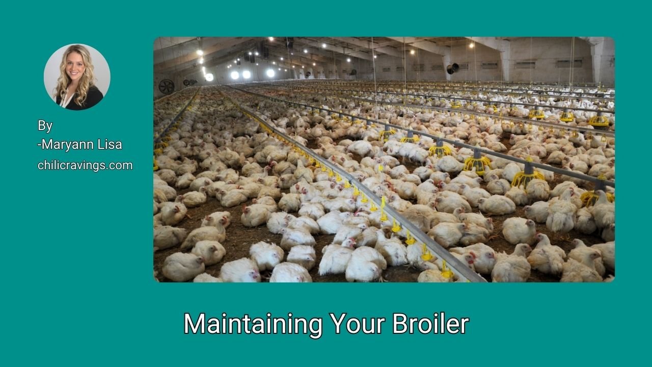 Maintaining Your Broiler