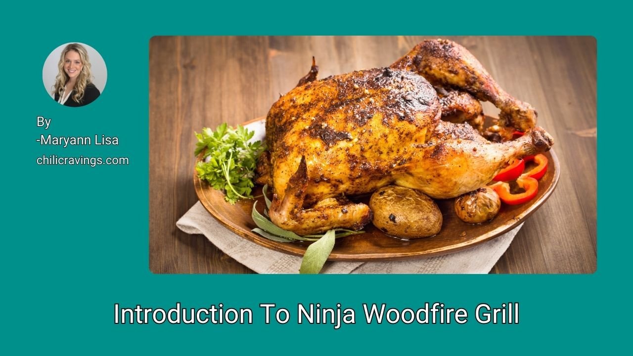 Introduction To Ninja Woodfire Grill